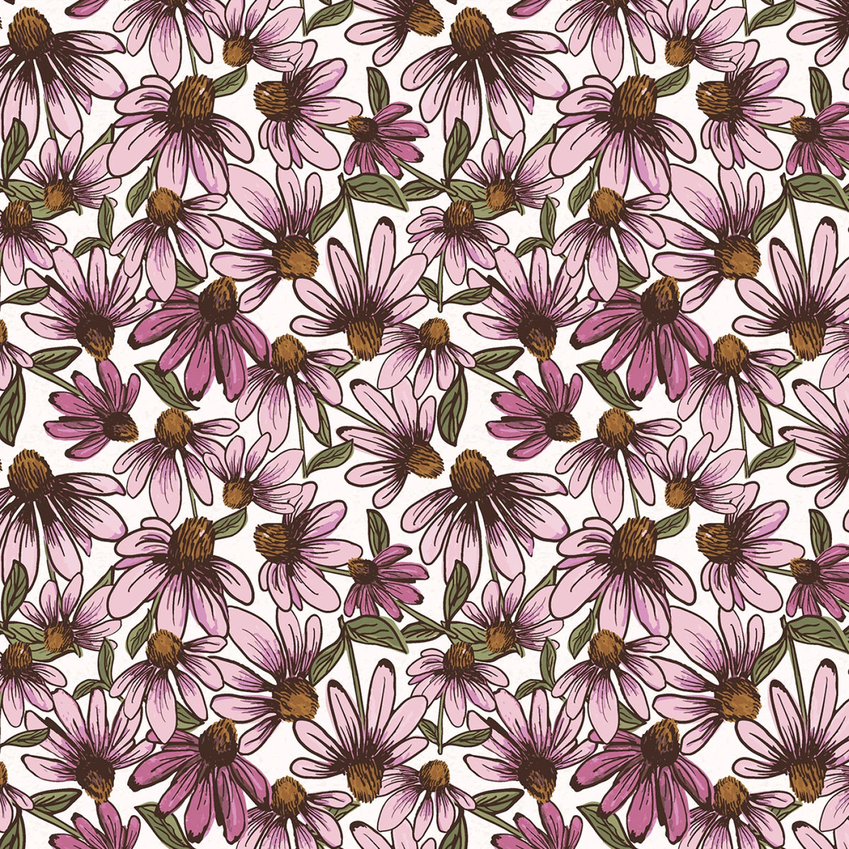 Coneflower Corral - White Echinacea